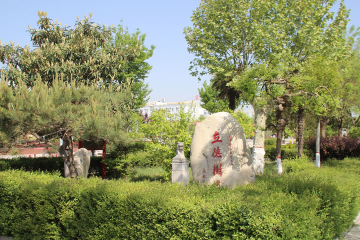 渭南軌道交通運輸學校第四屆校園櫻花文化藝術節(jié)