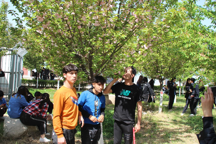 渭南軌道交通運輸學校第四屆校園櫻花文化藝術節(jié)