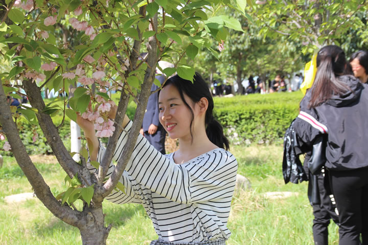 渭南市轨道交通运输高级技工学校第四届校园樱花文化艺术节